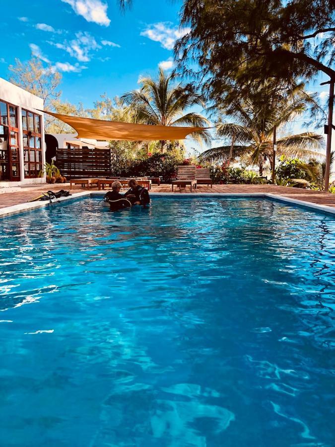 Bed and Breakfast Liquid Dive Adventures Tofo Экстерьер фото