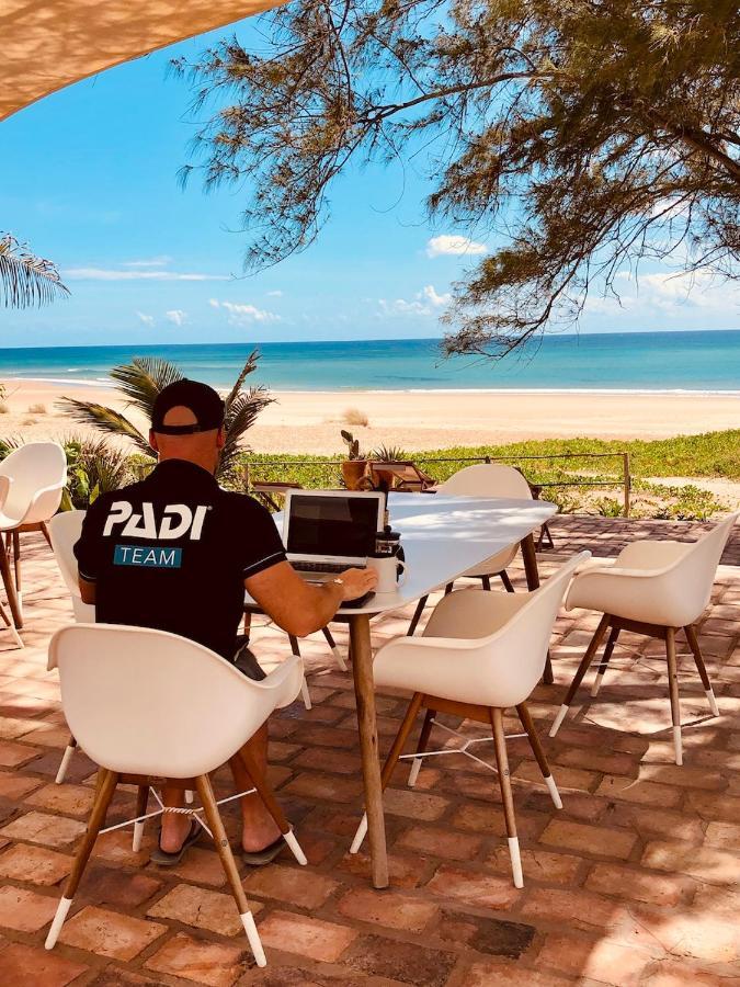Bed and Breakfast Liquid Dive Adventures Tofo Экстерьер фото