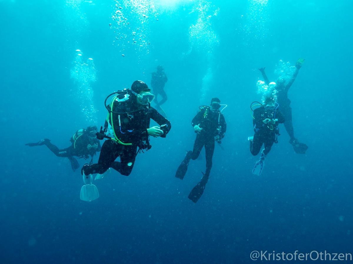 Bed and Breakfast Liquid Dive Adventures Tofo Экстерьер фото