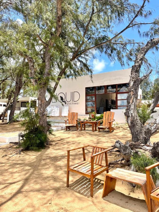 Bed and Breakfast Liquid Dive Adventures Tofo Экстерьер фото