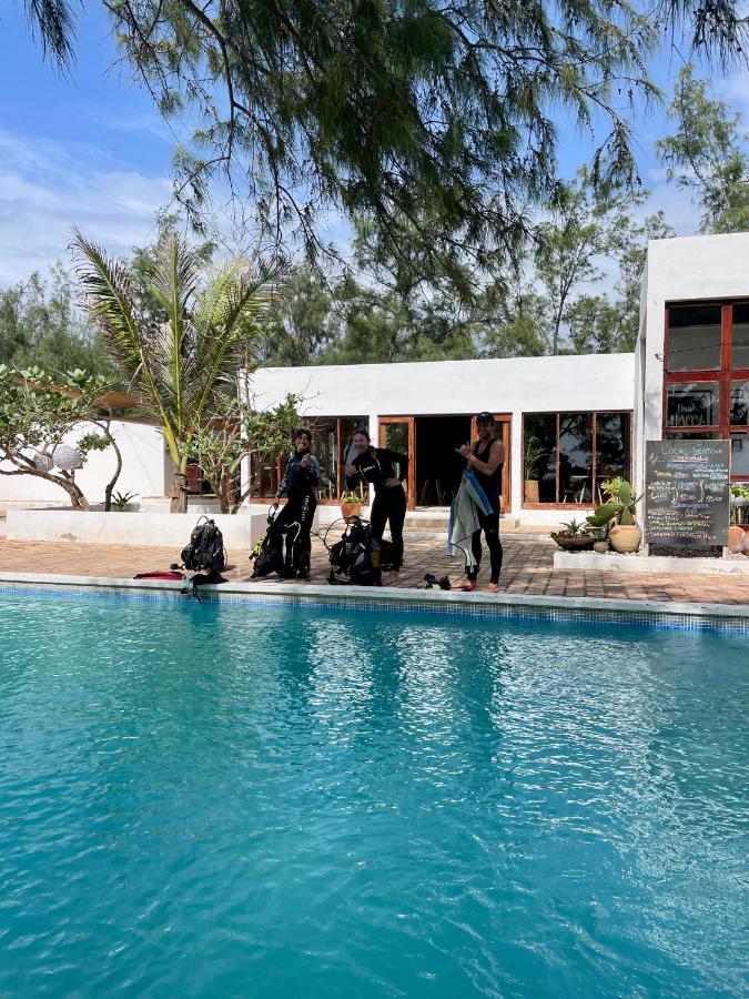 Bed and Breakfast Liquid Dive Adventures Tofo Экстерьер фото