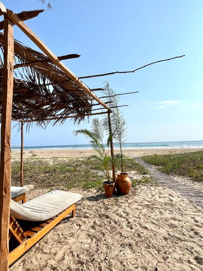 Bed and Breakfast Liquid Dive Adventures Tofo Экстерьер фото