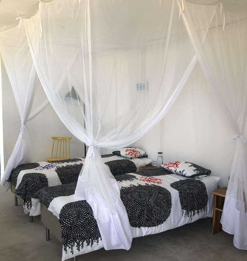 Bed and Breakfast Liquid Dive Adventures Tofo Экстерьер фото